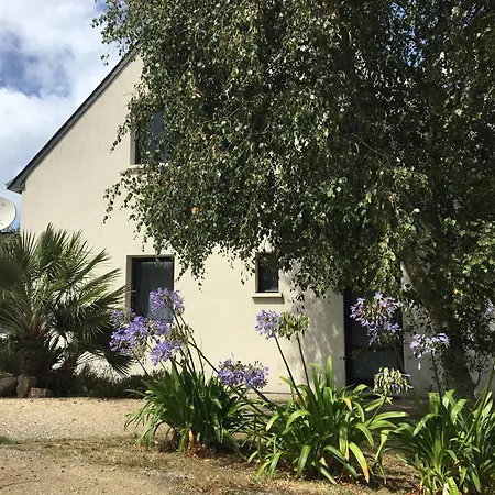 Avec Terrasse, Wifi A 100m De La A - Fr-1-368-424 Appartamento *